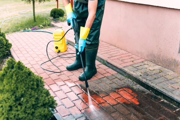 Best Roof Pressure Washing  in Oceanport, NJ